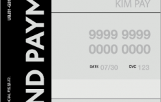 Npay �Ӵ�ī��, BC �귣�� �԰� ���������� ���Ӱ� ����