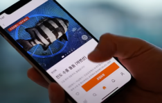 ����ο��� �ǽð� ���� ��û�� ��������, ũ���𿡼� ũ�����ݵ� ����