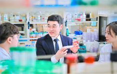 ������б� �ǰ����� �������Ƿ� ��������缺����� ������ �۷ι� �ǰ����� �缺 ����