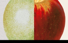 �˶�� ���� ���� 2025 ������ å, ���س� ��ȥ��롯