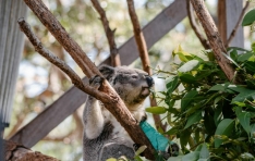 ������ �Բ� ������ ����콺�������� ģȯ�� ���� �Ұ�