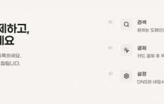 �������Ƽ, ������ �����Ρ�DNS �÷��� LETO ���