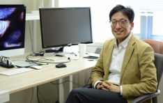 ���������Ʈ, ���ں��� �ַ�� ��DOLBE�� ���