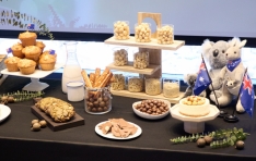 ȣ�ָ�ī�ٹ̾���ȸ, ȣ�� ��ī�ٹ̾� Ǫ�� �̳뺣�̼� �� ���̽��� ���� ����